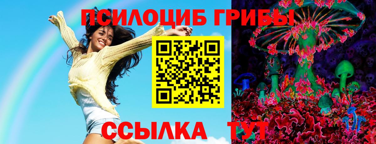 Карталы  Галлюциногенные грибы Cubensis  Вход с VPN 